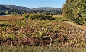 terrain à la vente -   46140  CAILLAC, surface 7000 m2 vente terrain - UBI446198681
